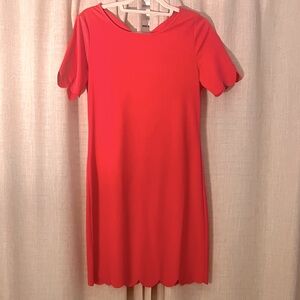 Pink Scalloped Dress